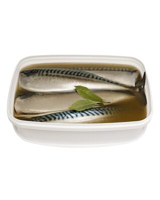 Headless mackerel in brine in a bucket 2.5 kg