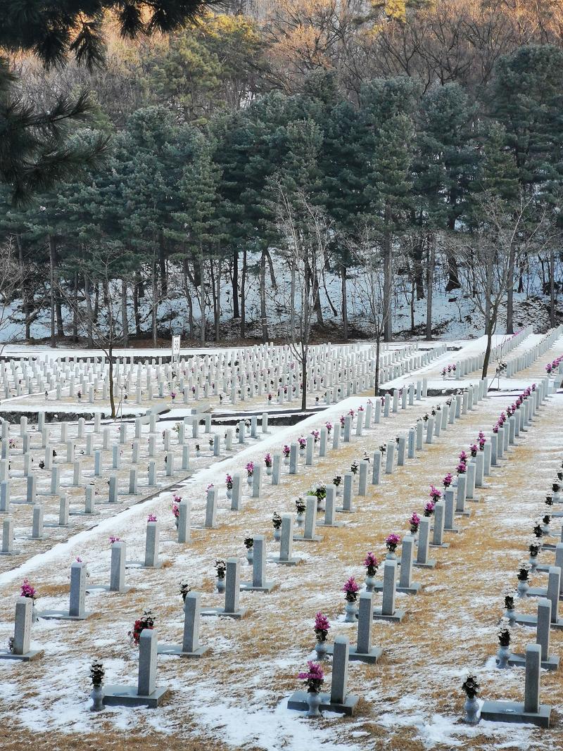 Szenen meiner Reisen durch Südkorea - Bild 5