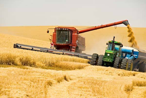 Аграрии Украины собрали уже 30,1 млн. тонн зерновых