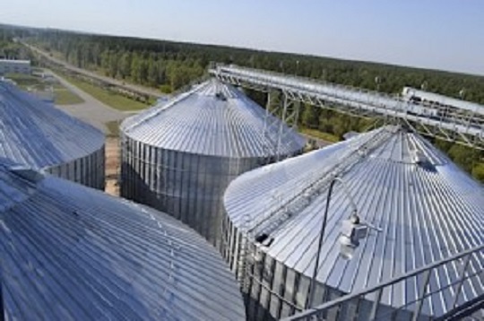 Шосткинський елеватор збільшив показники з переробки соняшнику