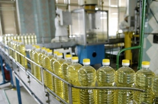 Украина на 26% нарастила производство подсолнечного масла