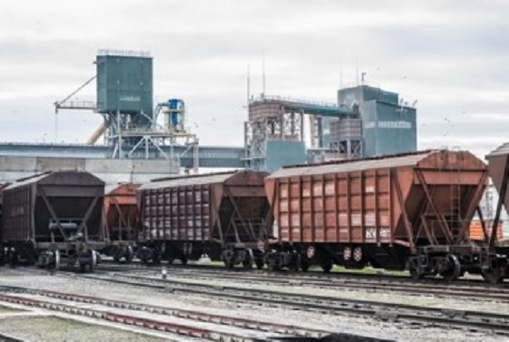 «Укрзализныця» ускорила оборот зерновозов