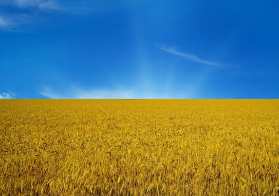 Сельхозпроизводство в Украине за год сократилось почти на 3 %