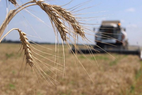 Кабмин утвердил программы поддержки аграриев на более чем 6 млрд грн