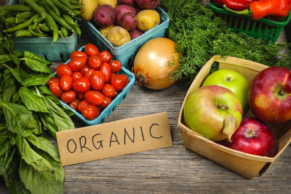 Украина наращивает экспорт органической продукции на западные рынки