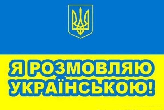В Україні створили стартап для захисту державної мови
