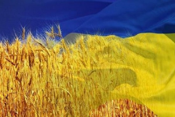 В Минагро назвали ТОП – 5 покупателей украинской агропродукции