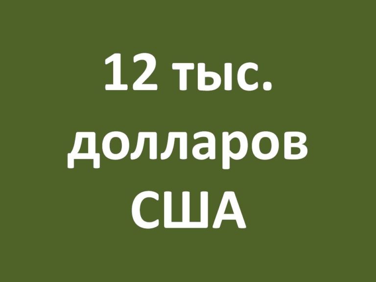 Цифра дня: $12 тысяч
