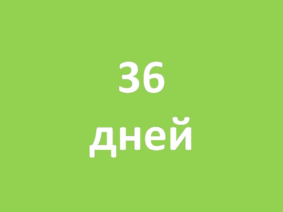 Цифра дня: 36 дней