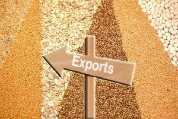 Україна експортувала майже 38 мільйонів тонн зернових культур