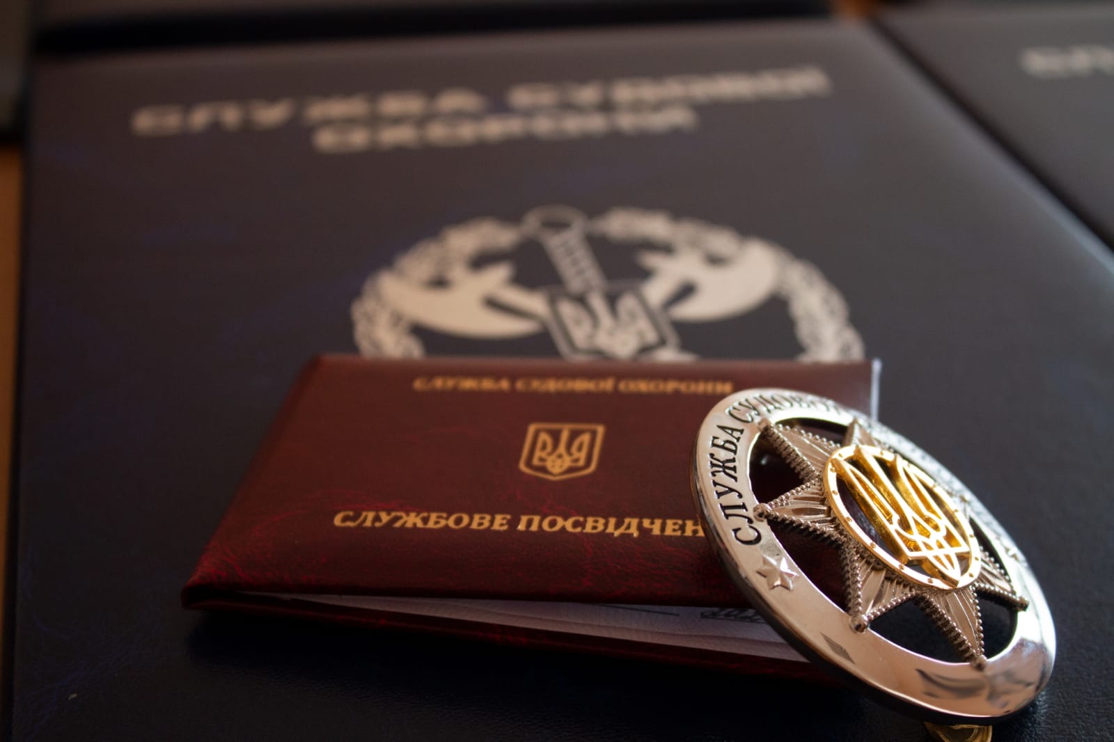 Вогнепальна зброя, гранати, кастети: українці  вчитимуться правил безпеки в суді
