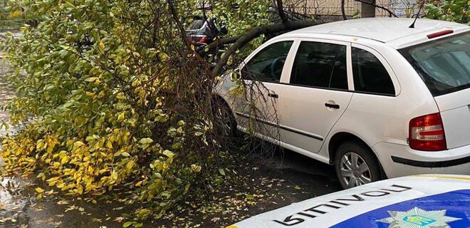 У Києві вирує штормовий вітер: попадали дерева, побиті авто, дві людини загинуло