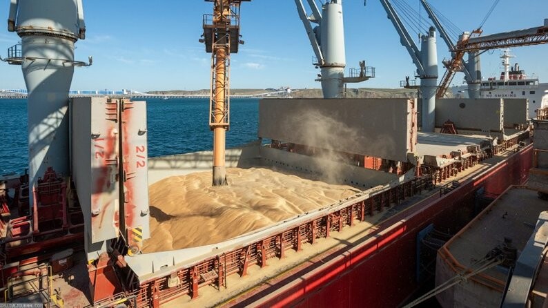 Украина отправит нуждающимся странам еще 60 кораблей с зерном