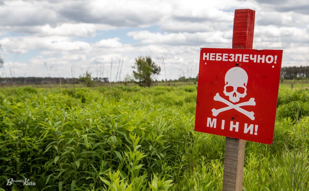 Украина: более 255 тыс. га разминированных земель вернули фермерам с начала года