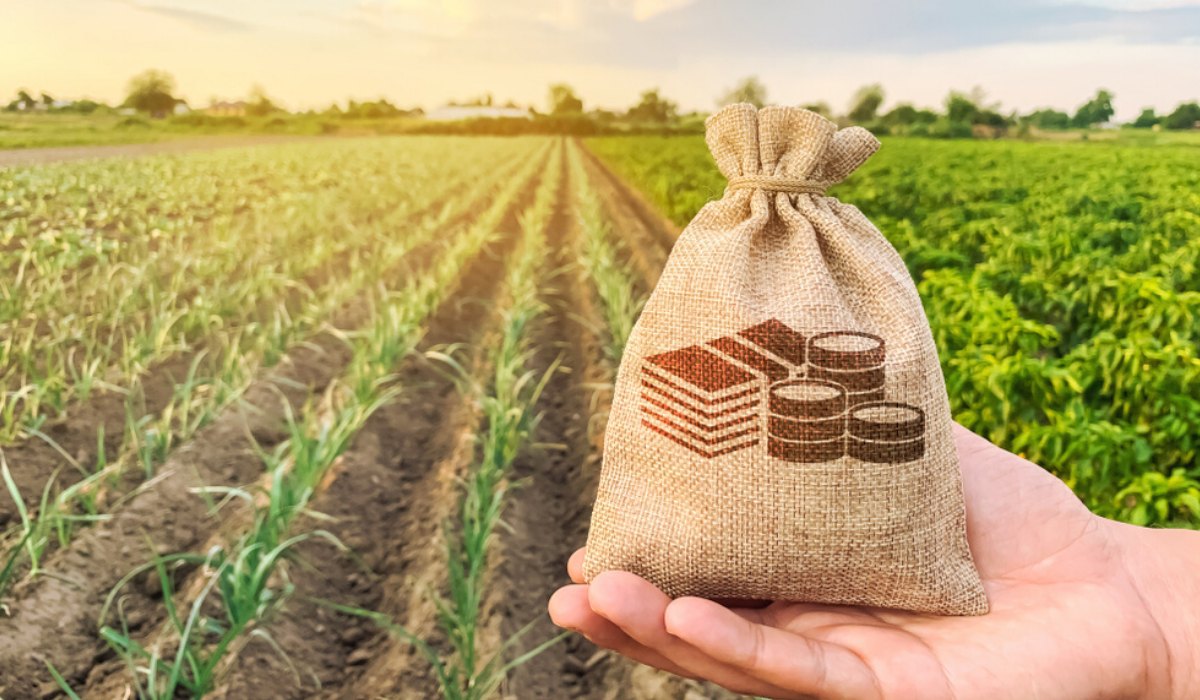 В мае в системе Прозорро.Продажи запланировано 3,5 тыс. земельных аукционов