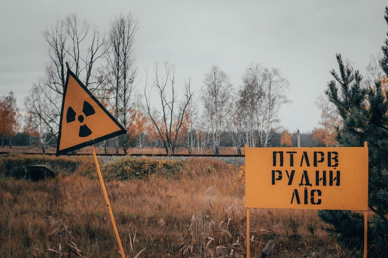 UDS поможет в разминировании Чернобыльской зоны, лесов и водоемов Украины