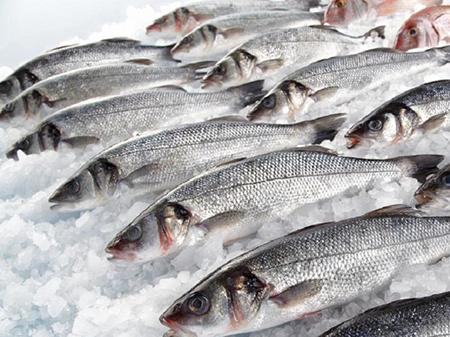 В Украине подорожала мороженая рыба В Украине подорожала мороженая рыба