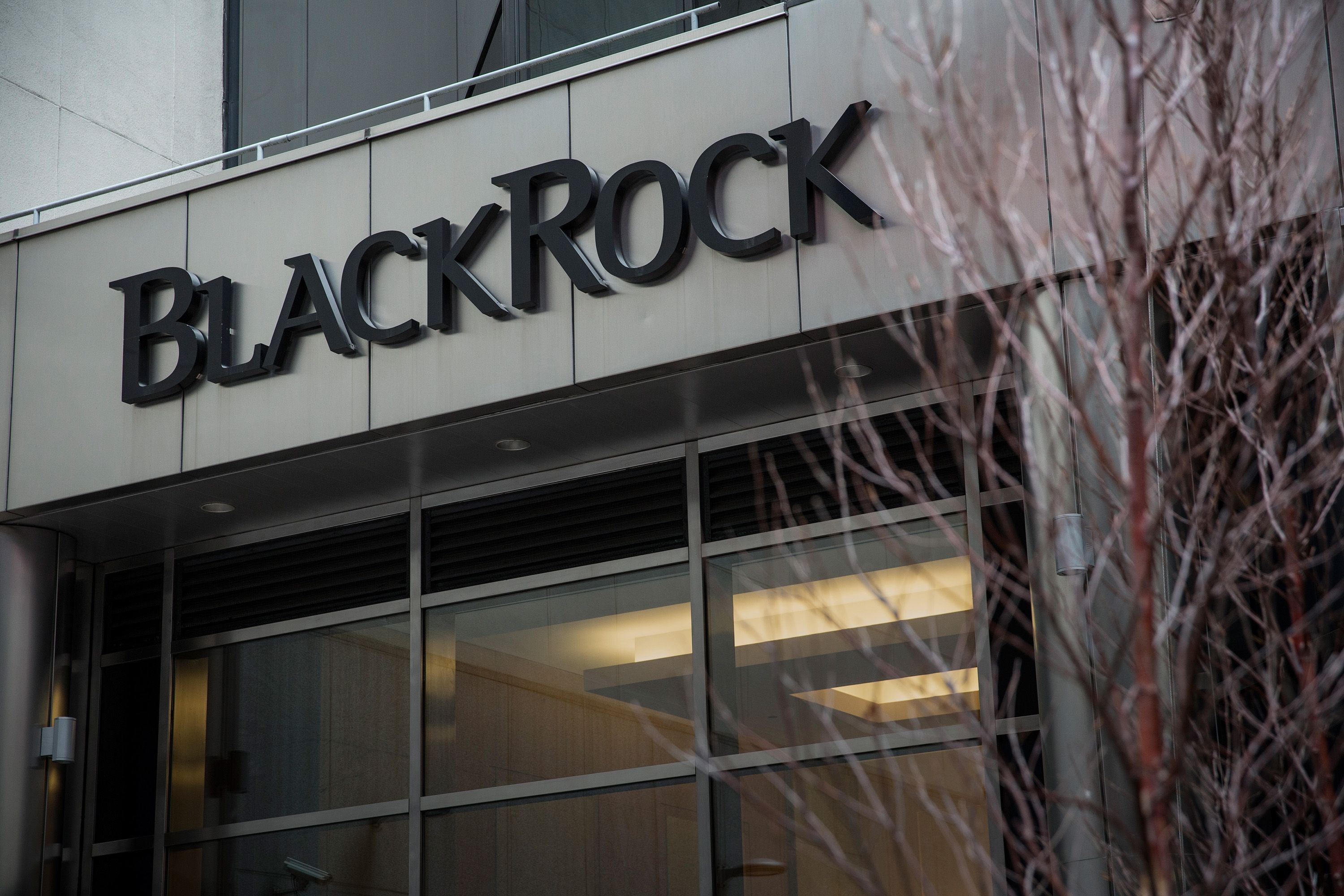 Найбільша у світі інвесткомпанія BlackRock зупинила роботу над фондом відновлення України, – ЗМІ