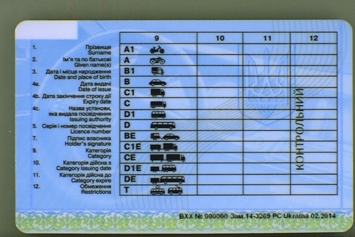 Нові категорії, водіння з 17 років та цифрові права: в Україні готують масштабну реформу посвідчень водія