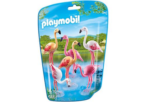 GROEP FLAMINGO'S / GROUPE DE FLAMANTS ROSES