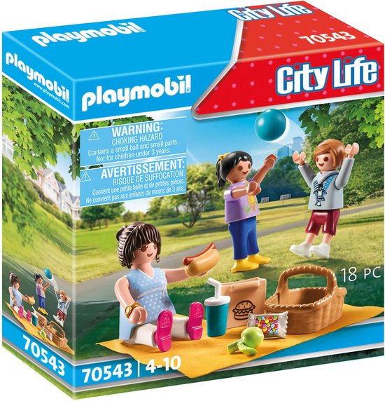 70543 Picknick in het park