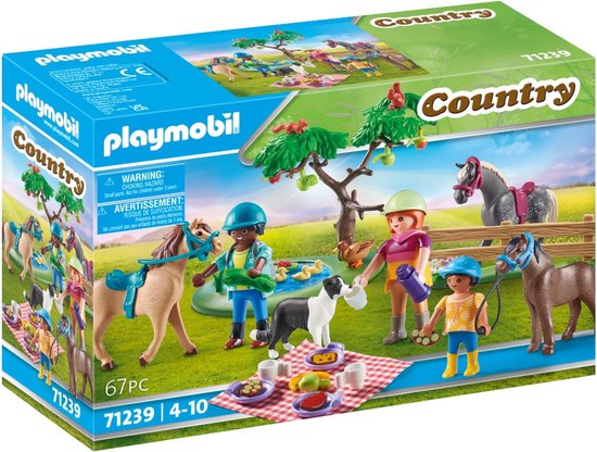 71239 Picknick excursie met paarden