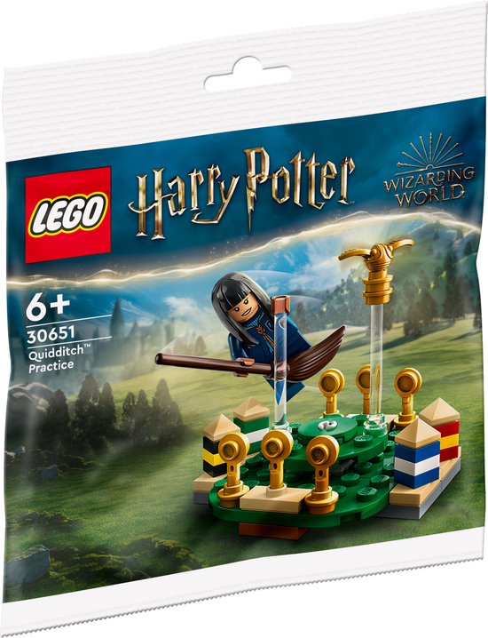 LEGO Harry Potter - Zwerkbal training constructiespeelgoed 30651