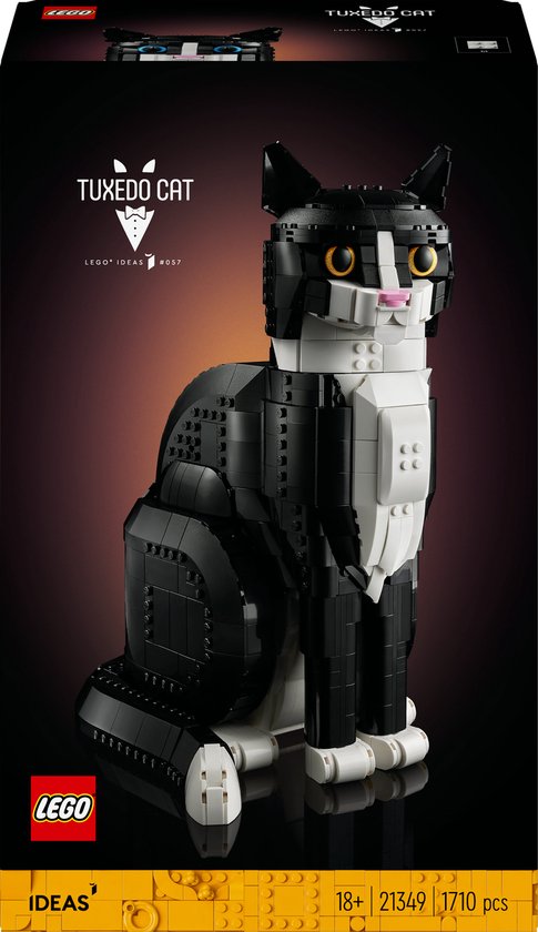 Zwart-witte kat