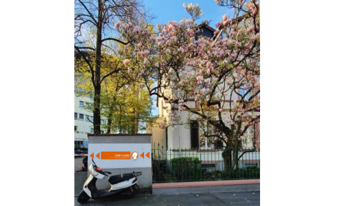 Poliklinische Praxis Prof. Dr. Dr. Umstadt, MKG-Chirurgie - plastische Operationen -  DA