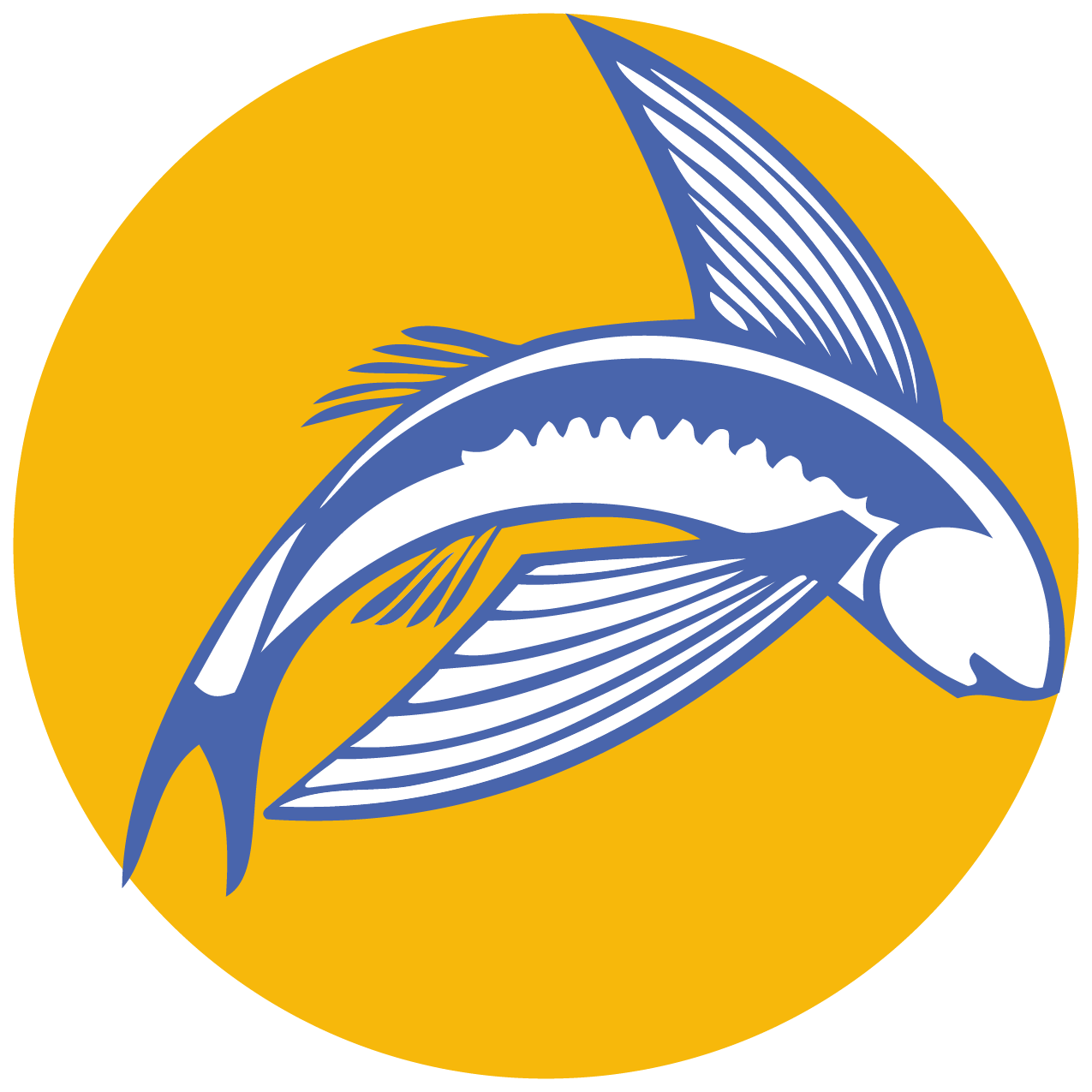 Barbados Today avatar