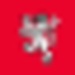 Daily Record avatar