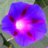 Helen Branswell avatar