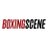 BoxingScene.com avatar