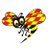 Expressen avatar