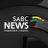 SABC News avatar