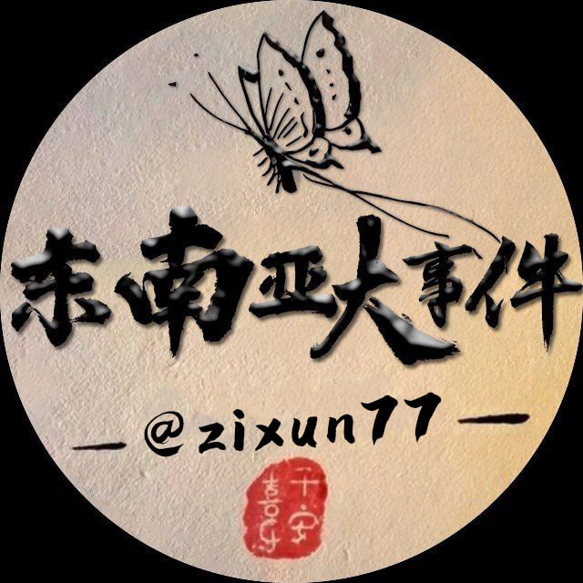 东南亚大事件 avatar