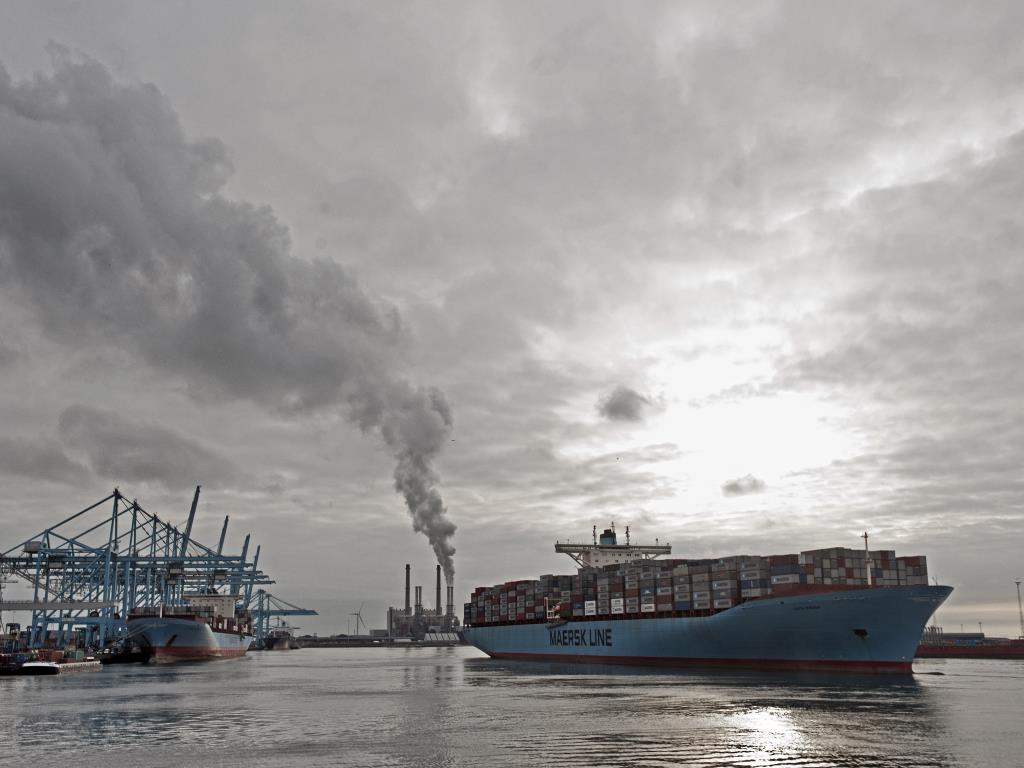 110236_apm_terminals_1_4_.jpg