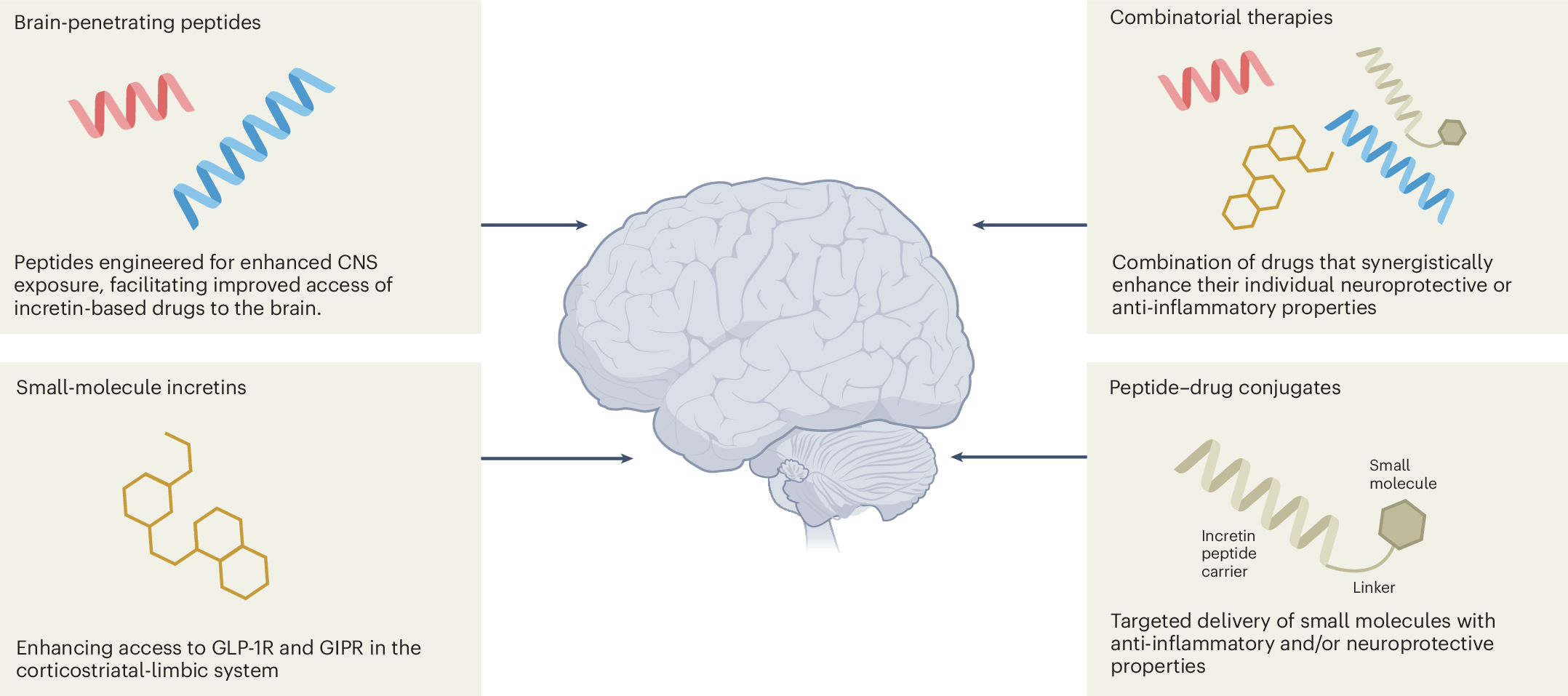 130062_42255_2025_1263_Fig5_HTML.png