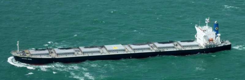 58222_39136_Ship_Photo_GOLDEN_HEIWA.jpg