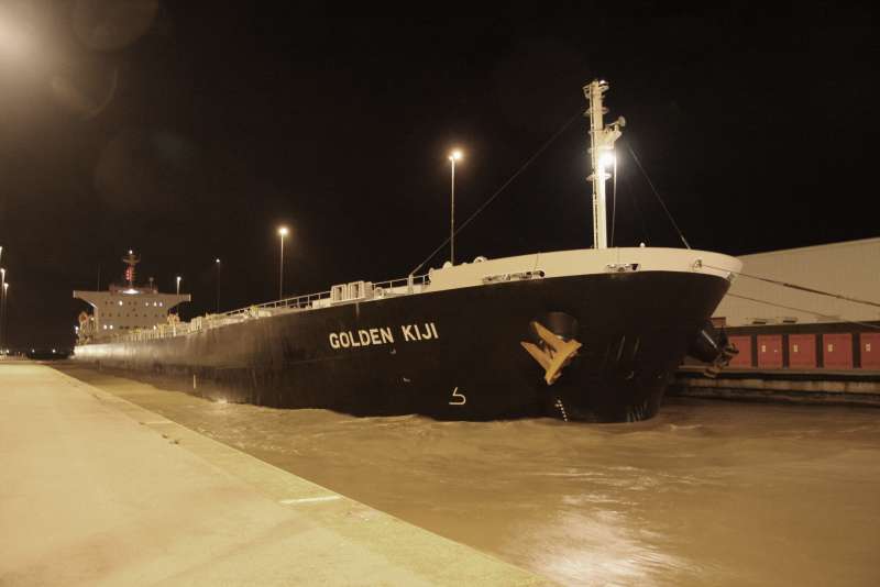 58888_Panamax_Golden_Kiji.jpg