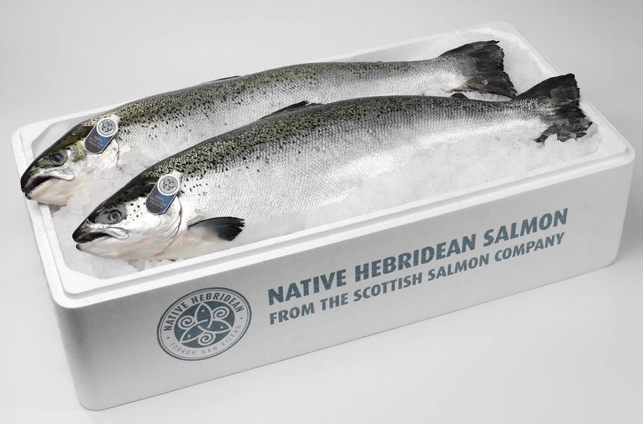 77598_The_Scottish_Salmon_Company.jpg