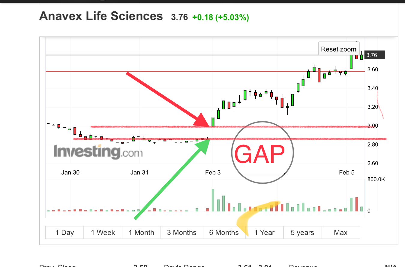 81487_AVXL_Anavex_Life_Sciences_Stock_Price___Investing.com.png