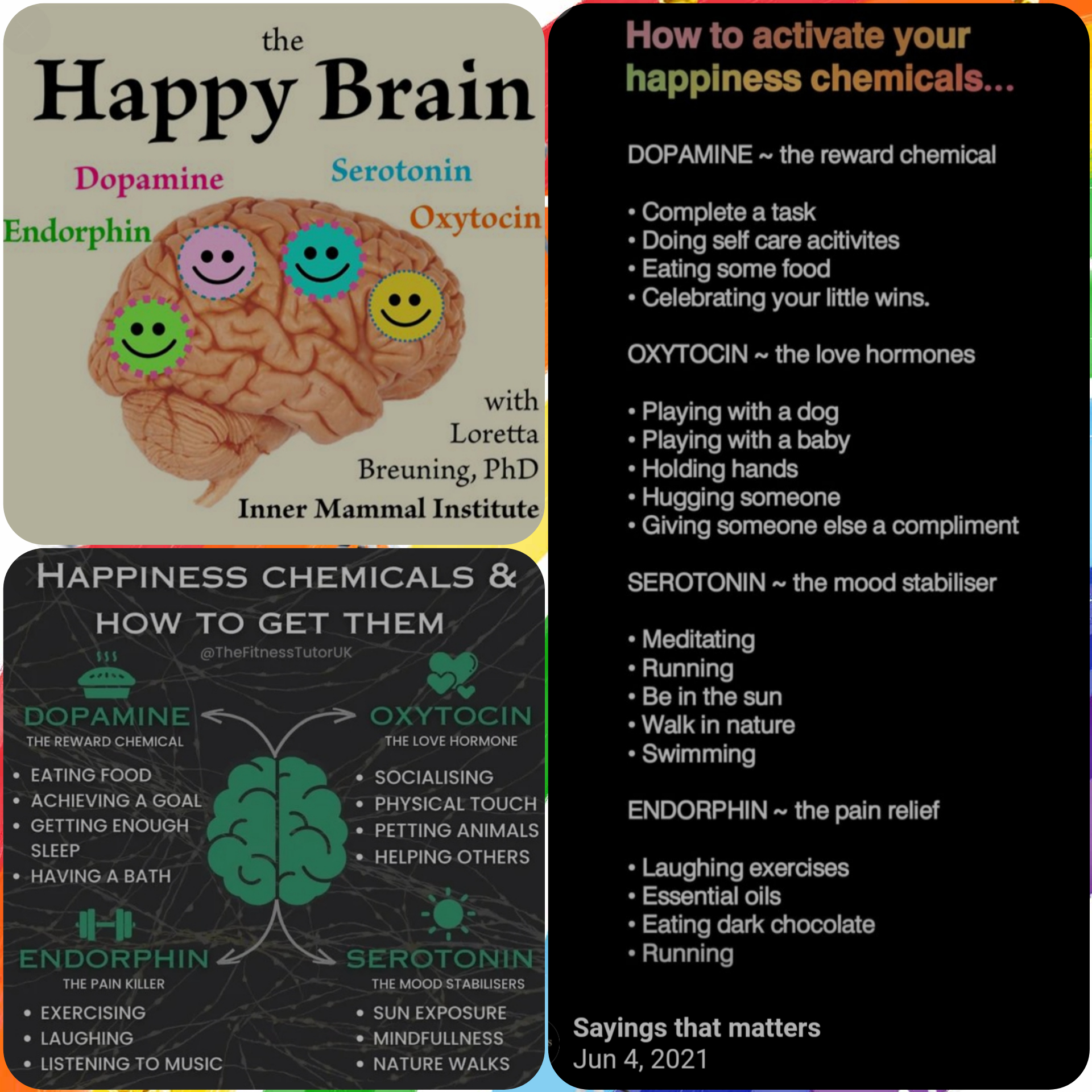 99864_happy_brain_hormones.jpg