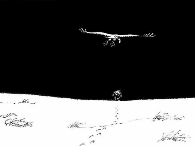 Franquin
