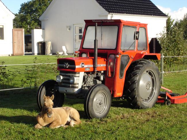 Massey