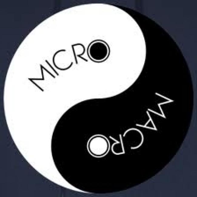 MicroMacro