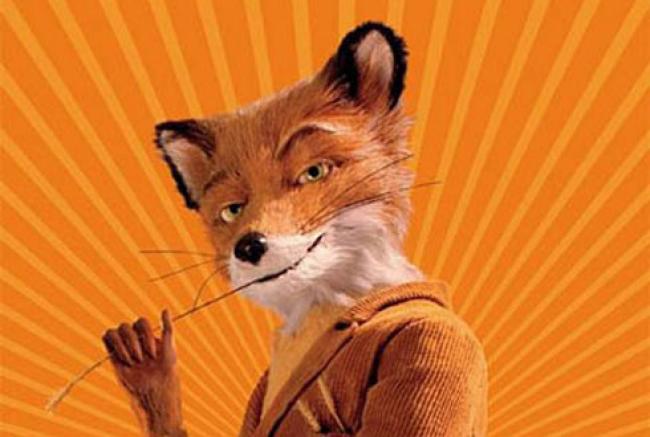 mrfox