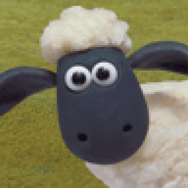 vouskootia