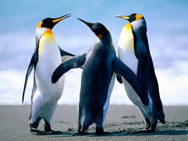From-Eriksen