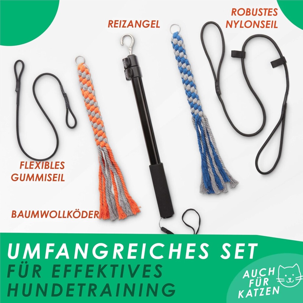 Canne à pêche irritante en test 2023 Canne à pêche irritante en test 2023
